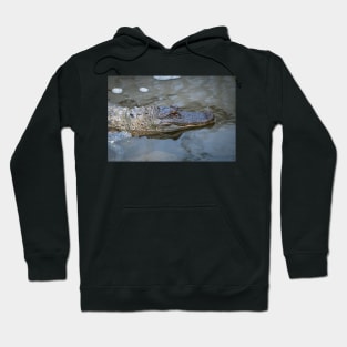 South Padre Island Alligator Hoodie